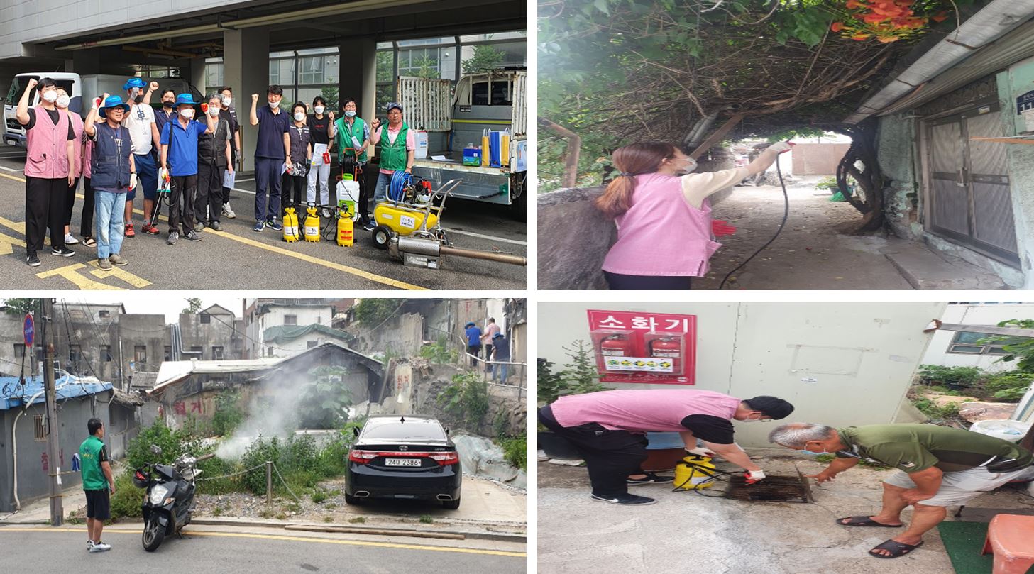 중림동 여름철 해충박멸 우리동네 방역활동